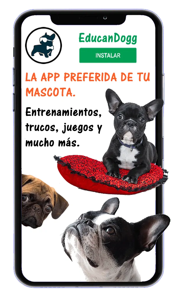 La App EducanDogg® La App EducanDogg®