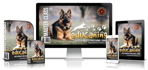 Educanino® - EducanDogg®