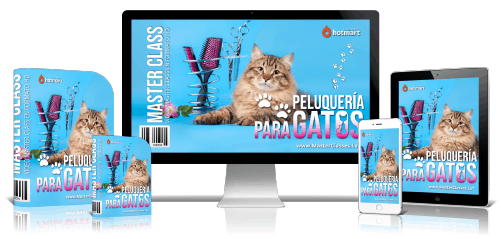 Peluquería para Gatos - EducanDogg®