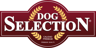Dog Selection® - EducanDogg® Dog Selection® - EducanDogg®