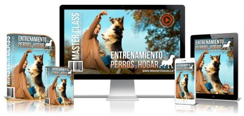 Entrenamiento perros de hogar - EducanDogg®