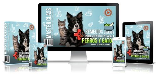 Remedio casero perros y gatos - EducanDogg®