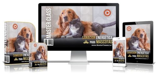 Sanación energética para tu mascotas - EducanDogg®